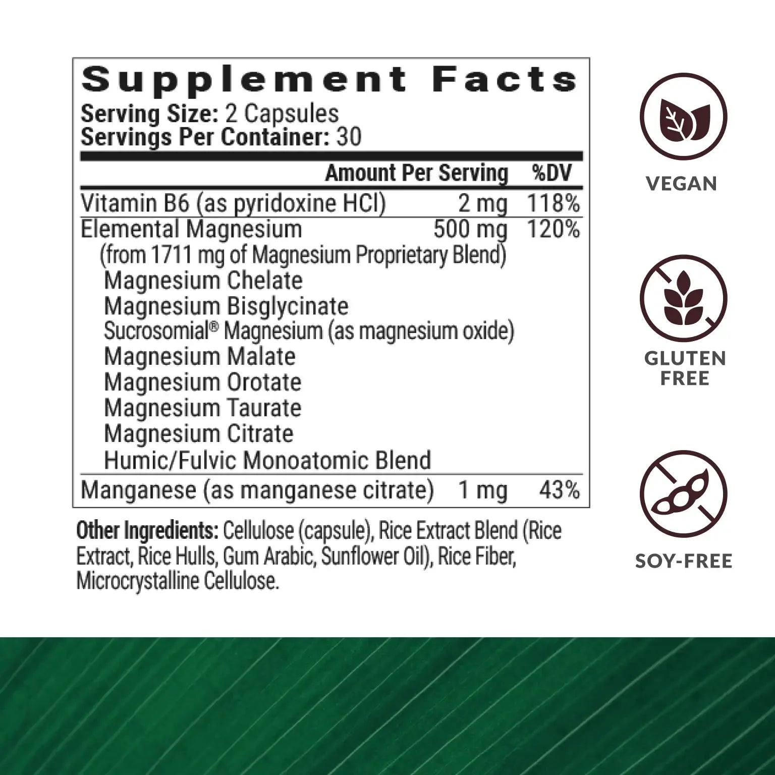 MAGNESIUM BREAKTHROUGH